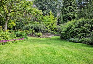 Optimiser l'expérience du jardin à Réjaumont